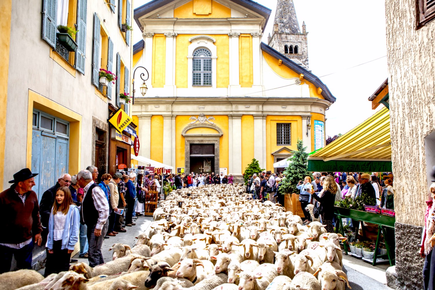 Transhumance St Etienne de Tinée